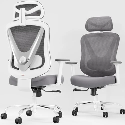 Ergonomic Mesh Office Chair with 3D Adjustable Lumbar Support and 3D Armrests, V-Shaped Back, Adjustable Desk Chair for... — Smart Chairs, HOLLUDLE