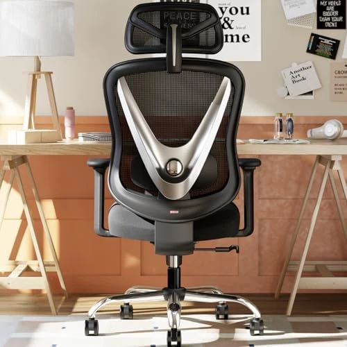 Ergonomic Mesh Office Chair with 3D Adjustable Lumbar Support and 3D Armrests, V-Shaped Back, Adjustable Desk Chair for... — Smart Chairs, HOLLUDLE