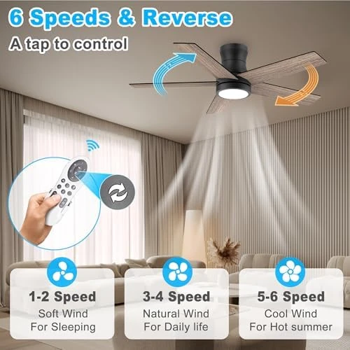 Low Profile Ceiling Fan with Lights — Smart Fan, Lorpies