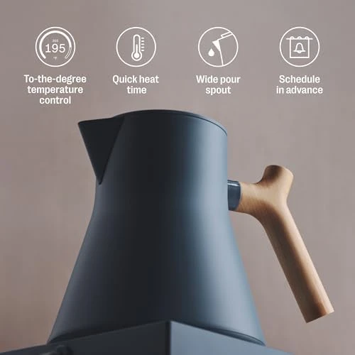 EKG Pro Electric Tea Kettle — Electric Kettle, Fellow