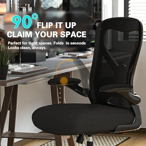 Office Desk Chair with Ergonomic Lumbar Support, Extra-Thick Seat Cushion, Flip-up Arms, Breathable Mesh Back — Smart Chairs, CASASIO