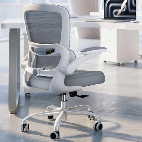 Ergonomic Desk Chair with Adjustable Lumbar Support — Smart Chairs, TRALT
