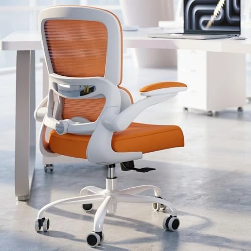 Ergonomic Desk Chair with Adjustable Lumbar Support — Smart Chairs, TRALT