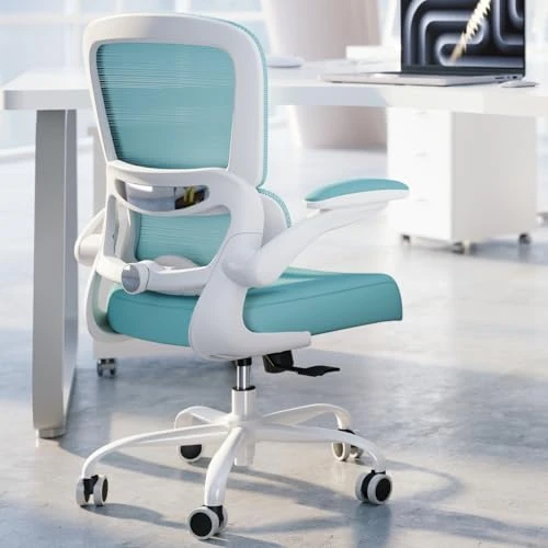 Ergonomic Desk Chair with Adjustable Lumbar Support — Smart Chairs, TRALT