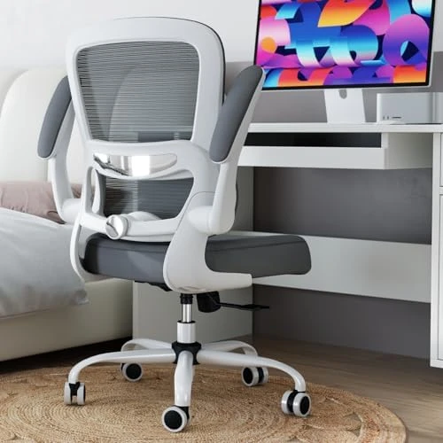 Ergonomic Desk Chair with Adjustable Lumbar Support — Smart Chairs, TRALT