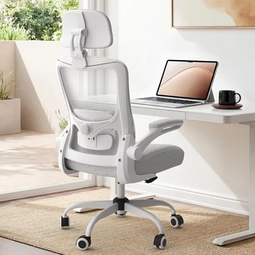 Ergonomic Mesh Desk Chair with Adjustable Lumbar Support and Headrest — Smart Chairs, Zeonsit