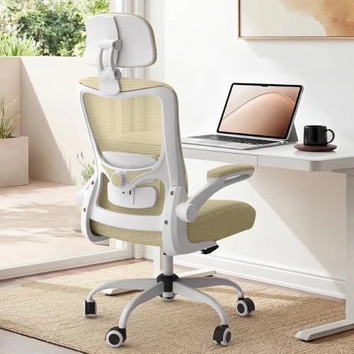 Ergonomic Mesh Desk Chair with Adjustable Lumbar Support and Headrest — Smart Chairs, Zeonsit