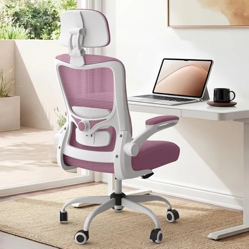 Ergonomic Mesh Desk Chair with Adjustable Lumbar Support and Headrest — Smart Chairs, Zeonsit