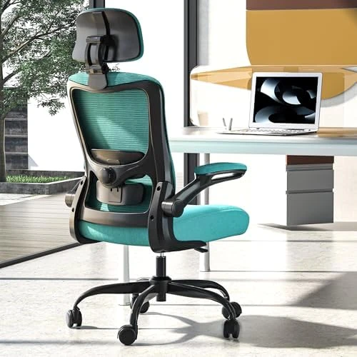 Ergonomic Mesh Desk Chair with Adjustable Lumbar Support and Headrest — Smart Chairs, Zeonsit