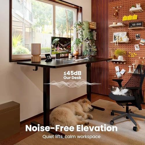 Height Adjustable Electric Standing Desk 55 x 28 Inches — Standing Desk, ErGear