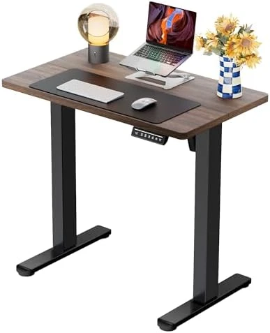 Height Adjustable Electric Standing Desk 55 x 28 Inches — Standing Desk, ErGear