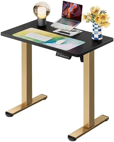 Height Adjustable Electric Standing Desk 55 x 28 Inches — Standing Desk, ErGear