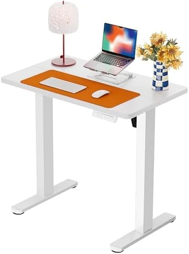 Height Adjustable Electric Standing Desk 55 x 28 Inches — Standing Desk, ErGear