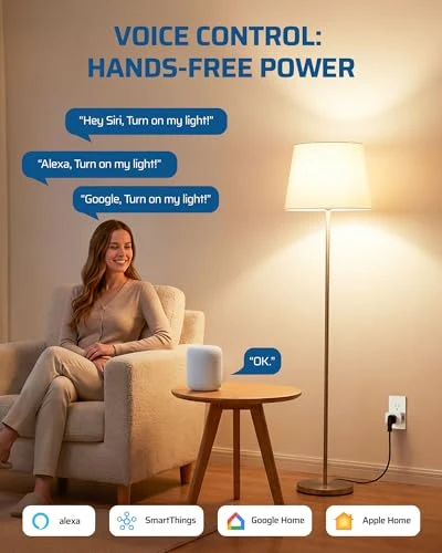 Matter Smart Plug 2-Pack — Smart Plug, DEWENWILS