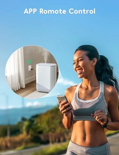 Smart Plug 2 Pack — Smart Plug, Winees