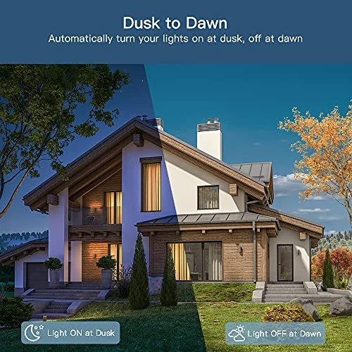 2 in 1 Outdoor Smart Dimmer Plug — Smart Plug, TREATLIFE