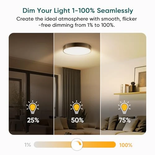 Dimmer Switch with Magnetic Remote — Smart Switch, TREATLIFE