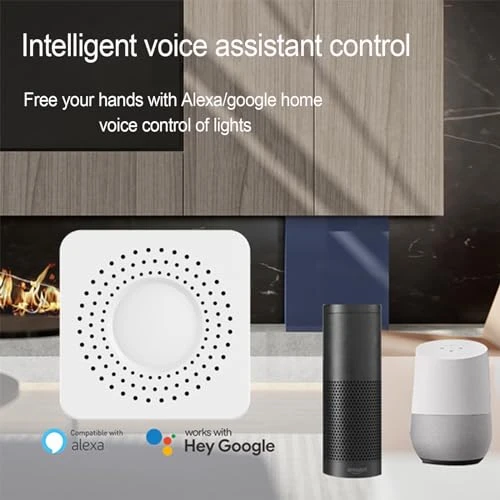 Smart Dimmer Switch — Smart Light Bulb, Bkiyougo