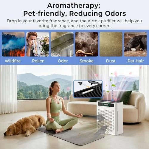 Air Purifier for Large Room — Air Purifier, AIRTOK