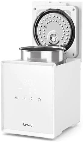 Evaporative Humidifier for Large Rooms up to 1000 ft² — Humidifier, Livatro