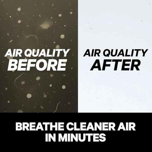 Smart HEPA Air Purifier — Air Purifier, PuroAir