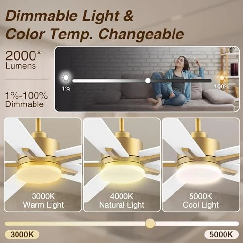 Smart Ceiling Fan with Lights — Smart Fan, Livory