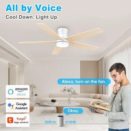 Smart Low Profile Ceiling Fan with Light — Smart Fan, Lorpies