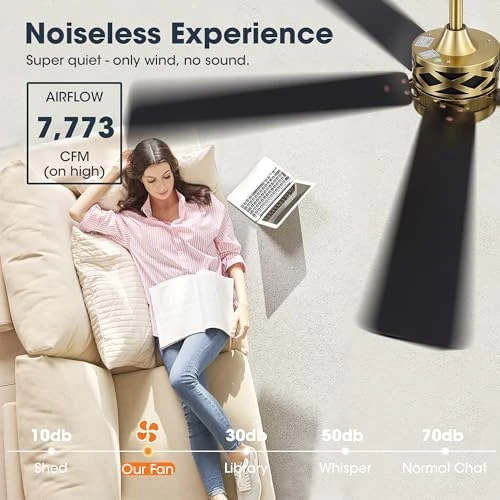 Smart Ceiling Fan with Lights and 3 Downrods — Smart Fan, WINGBO
