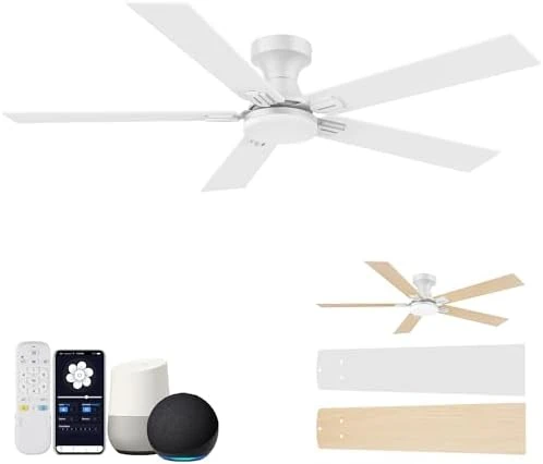 Smart Ceiling Fan with Lights — Smart Fan, Hoenofly
