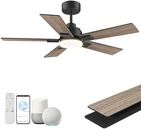 Smart Ceiling Fan with Lights — Smart Fan, Hoenofly
