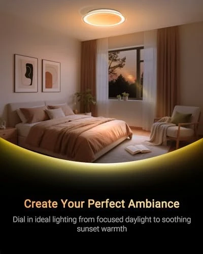 LED Ceiling Light with Bluetooth Speaker — Desk Lamp, Ghettalinn