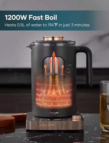 Electric Tea Kettle with Tea Infuser — Electric Kettle, INTASTING
