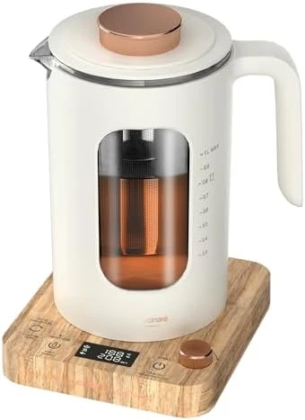 Electric Tea Kettle with Tea Infuser — Electric Kettle, INTASTING
