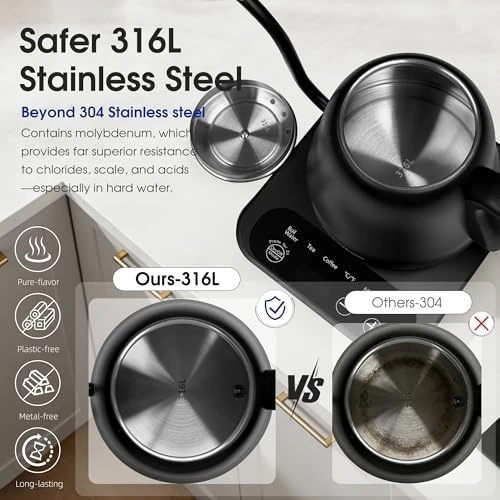 Gooseneck Electric Kettle with ±1°F Temperature Control — Electric Kettle, Visit the REXYHOME Store