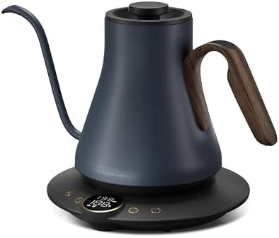 Gooseneck Electric Kettle — Electric Kettle, INTASTING