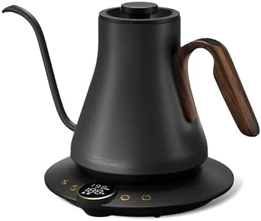 Gooseneck Electric Kettle — Electric Kettle, INTASTING