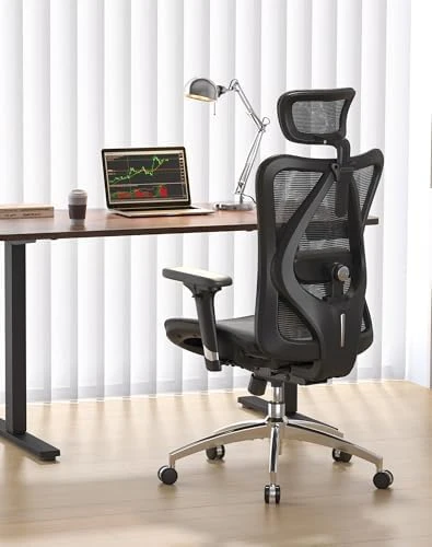 Ergonomic Mesh Office Chair, High Back Home Desk Chair with 3D Armrests, Lumbar Support and Adjustable Headrest,... — Smart Chairs, SIHOO