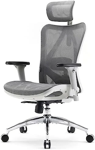 Ergonomic Mesh Office Chair, High Back Home Desk Chair with 3D Armrests, Lumbar Support and Adjustable Headrest,... — Smart Chairs, SIHOO