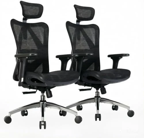 Ergonomic Mesh Office Chair, High Back Home Desk Chair with 3D Armrests, Lumbar Support and Adjustable Headrest,... — Smart Chairs, SIHOO