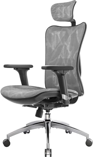 Ergonomic Mesh Office Chair, High Back Home Desk Chair with 3D Armrests, Lumbar Support and Adjustable Headrest,... — Smart Chairs, SIHOO