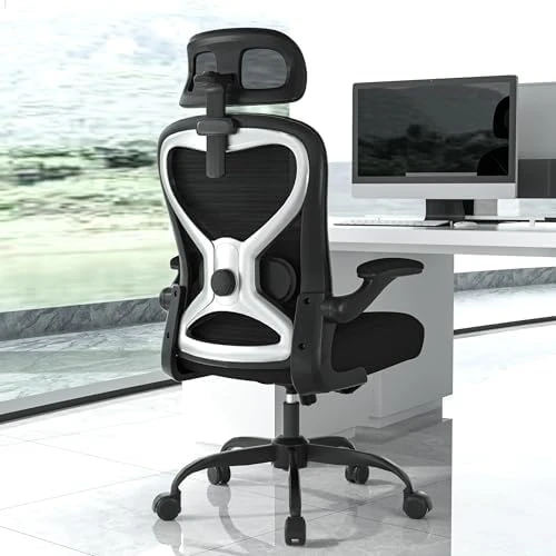 Ergonomic Office Chair with Lumbar Support & 3D Headrest — Smart Chairs, CASASIO