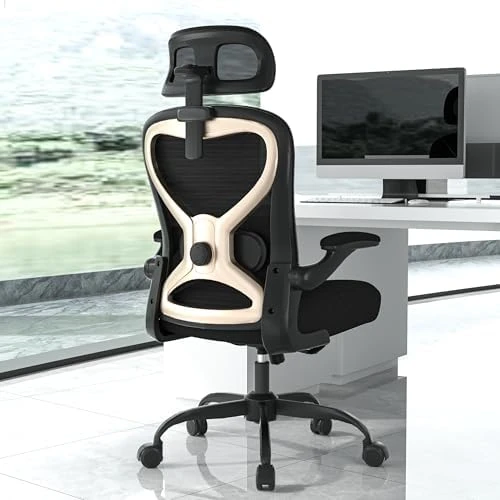 Ergonomic Office Chair with Lumbar Support & 3D Headrest — Smart Chairs, CASASIO
