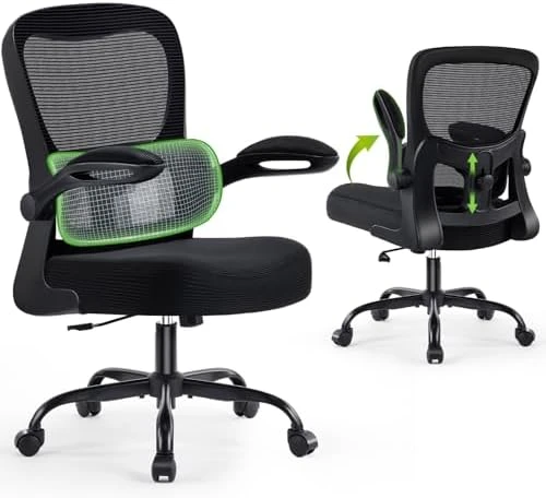 Ergonomic Desk Chair with Adjustable Lumbar Support — Smart Chairs, AreShark