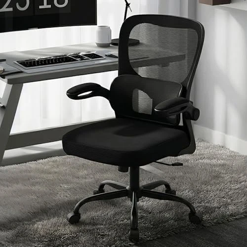 Ergonomic Desk Chair with Adjustable Lumbar Support — Smart Chairs, AreShark