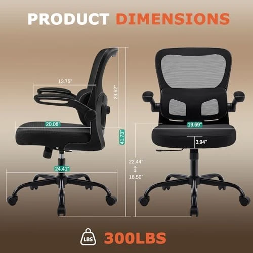 Ergonomic Desk Chair with Adjustable Lumbar Support — Smart Chairs, AreShark