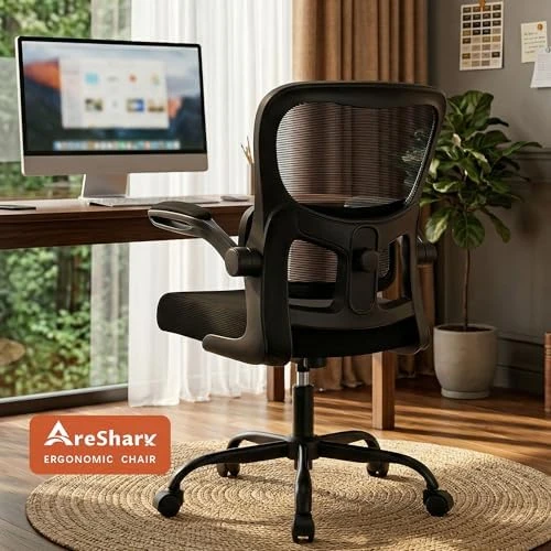 Ergonomic Desk Chair with Adjustable Lumbar Support — Smart Chairs, AreShark