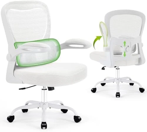 Ergonomic Desk Chair with Adjustable Lumbar Support — Smart Chairs, AreShark