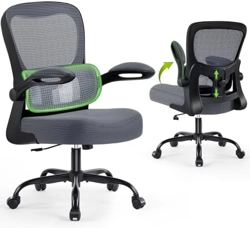 Ergonomic Desk Chair with Adjustable Lumbar Support — Smart Chairs, AreShark