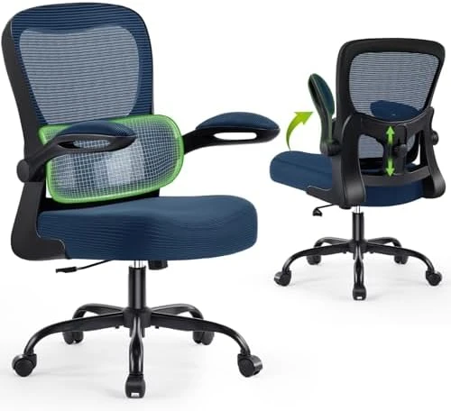 Ergonomic Desk Chair with Adjustable Lumbar Support — Smart Chairs, AreShark
