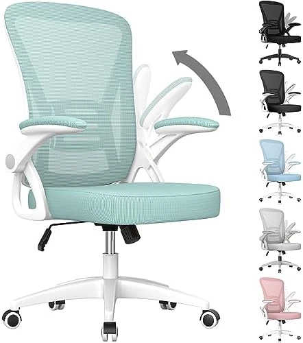 Ergonomic Office Chair, Mid Back Desk Chairs with Adjustable Height, Swivel Chair with Flip-Up Arms and Lumbar Support,... — Smart Chairs, naspaluro